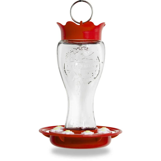 Glass Hummingbird Feeder Bee Resistant Ant Moat Durable Weatherproof